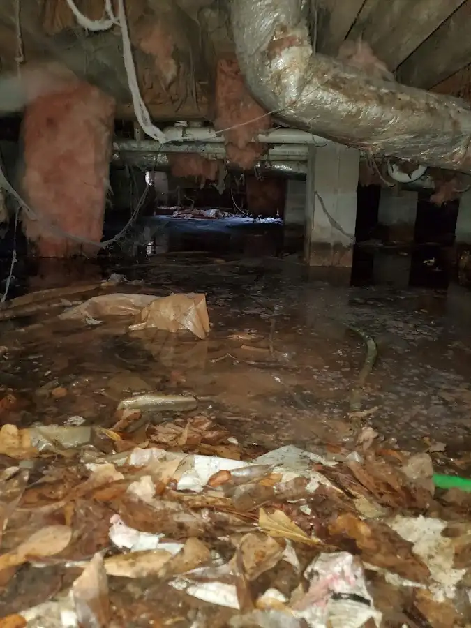 Crawl space flood assessment for Leak Detection & Repair in Ponchatoula